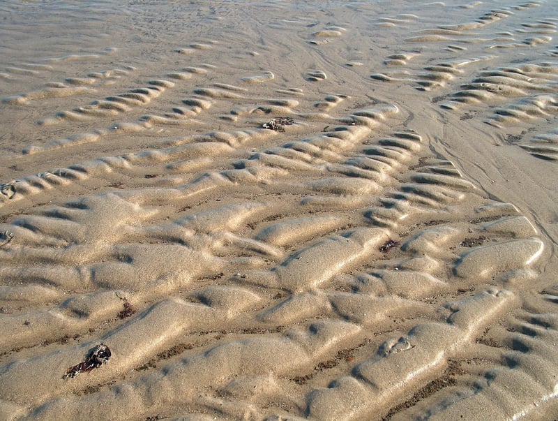 Instant-Read Thermometer